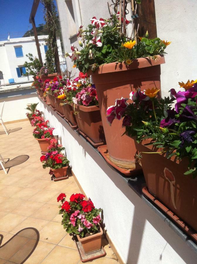 B&B Celestina Ischia 라코아메노 외부 사진